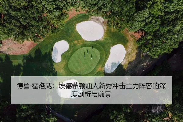 德鲁·霍洛威：埃德蒙顿油人新秀冲击主力阵容的深度剖析与前景